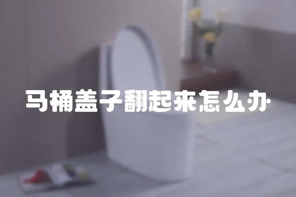 馬桶蓋子翻起來怎么辦