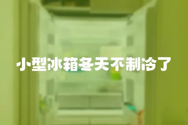 小型冰箱冬天不制冷了