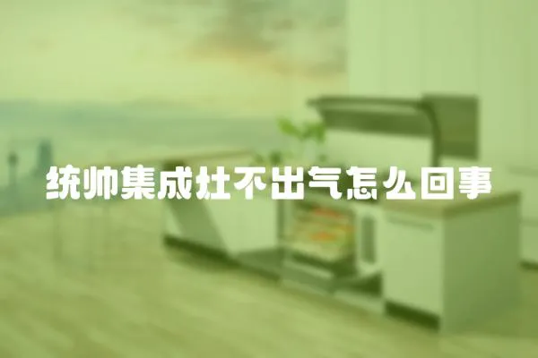 統帥集成灶不出氣怎么回事