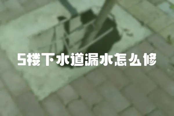 5樓下水道漏水怎么修