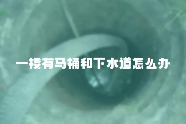 一樓有馬桶和下水道怎么辦