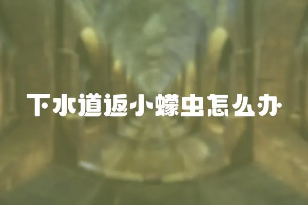 下水道返小蠓蟲怎么辦