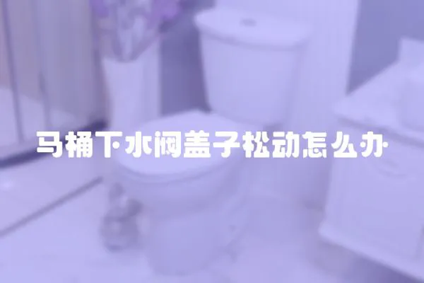 馬桶下水閥蓋子松動怎么辦