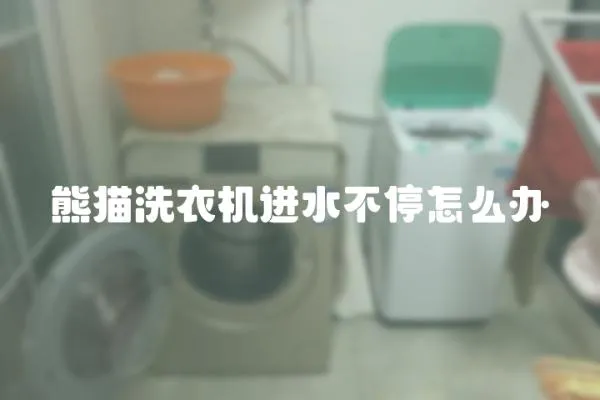 熊貓洗衣機進水不停怎么辦