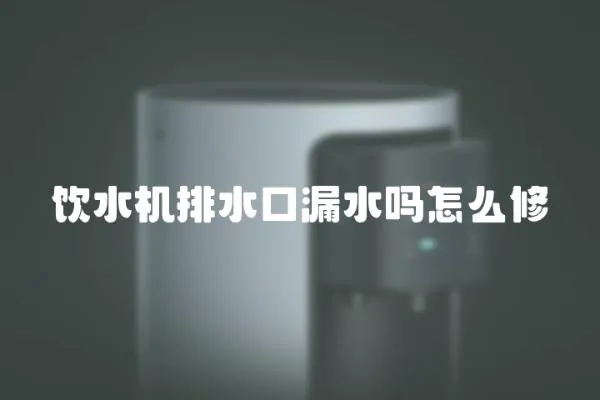 飲水機排水口漏水嗎怎么修