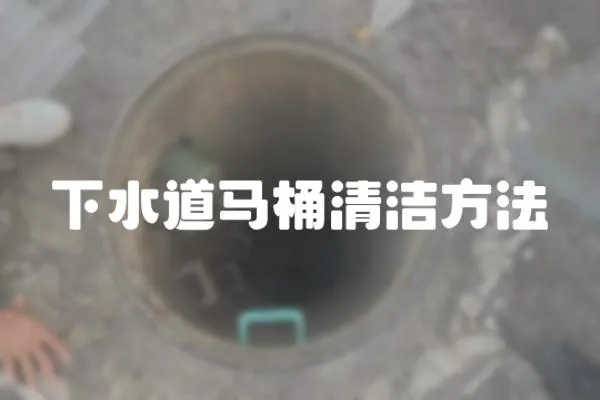 下水道馬桶清潔方法