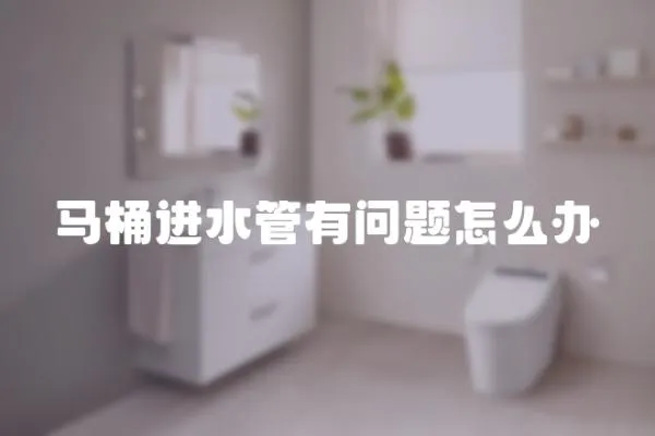 馬桶進(jìn)水管有問題怎么辦