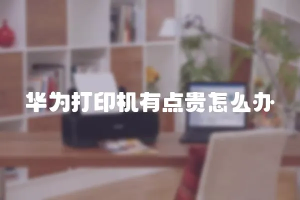 華為打印機有點貴怎么辦