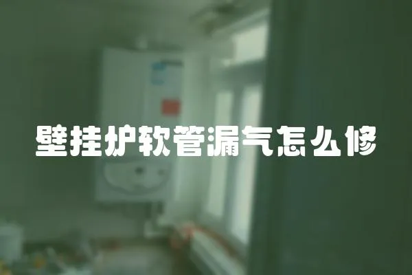 壁掛爐軟管漏氣怎么修