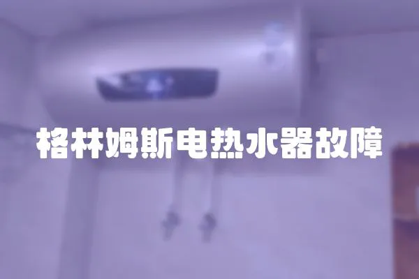 格林姆斯電熱水器故障