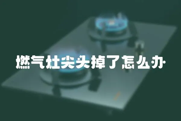 燃?xì)庠罴忸^掉了怎么辦