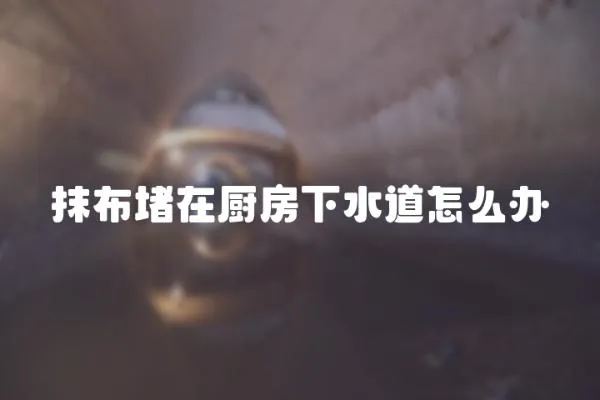抹布堵在廚房下水道怎么辦