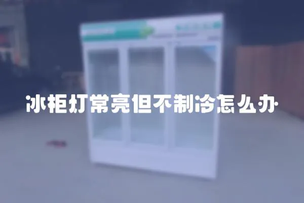 冰柜燈常亮但不制冷怎么辦