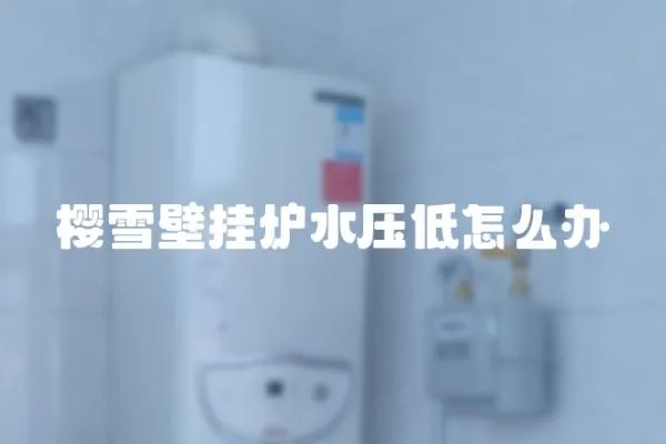 櫻雪壁掛爐水壓低怎么辦