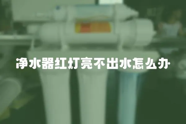 凈水器紅燈亮不出水怎么辦