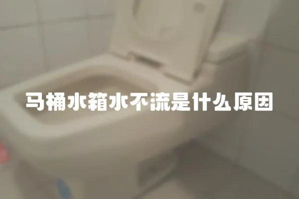 馬桶水箱水不流是什么原因