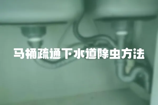 馬桶疏通下水道除蟲方法