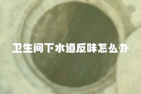 衛生間下水道反味怎么辦