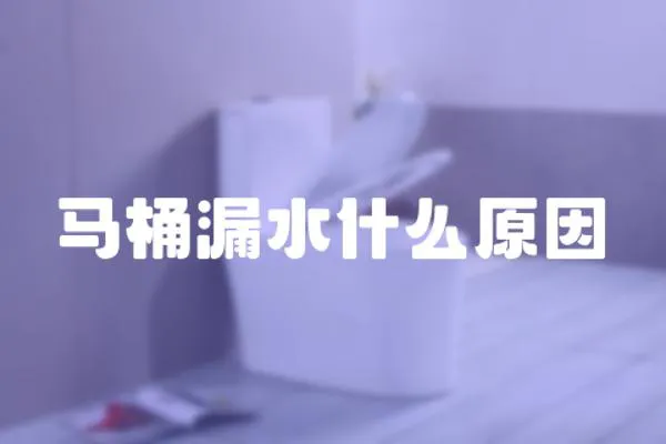 馬桶漏水什么原因