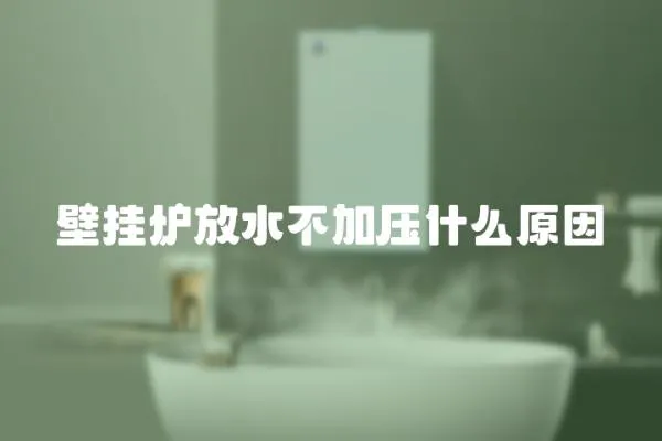 壁掛爐放水不加壓什么原因
