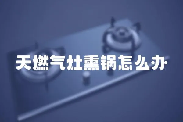 天燃?xì)庠钛佋趺崔k