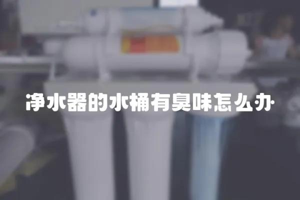 凈水器的水桶有臭味怎么辦