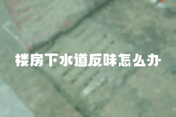 樓房下水道反味怎么辦