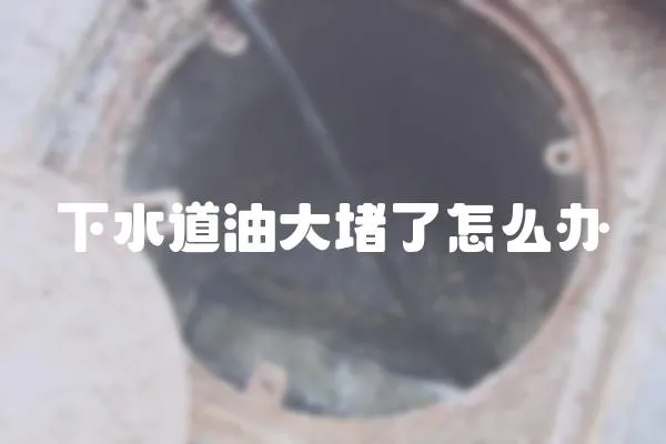 下水道油大堵了怎么辦