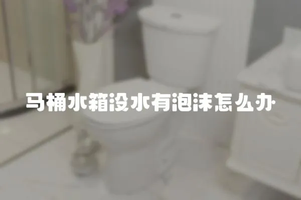 马桶水箱没水有泡沫怎么办