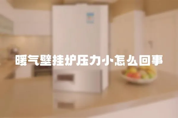 暖氣壁掛爐壓力小怎么回事