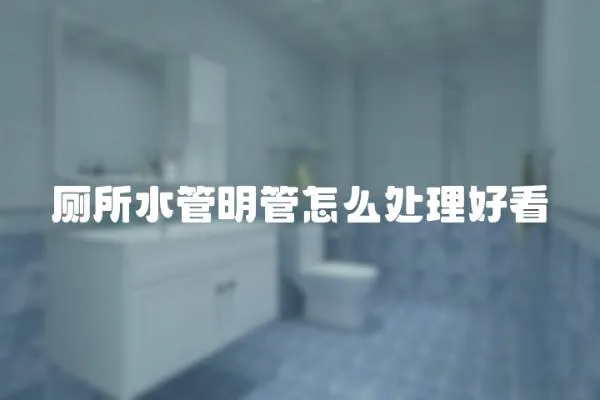 廁所水管明管怎么處理好看