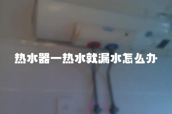 熱水器一熱水就漏水怎么辦