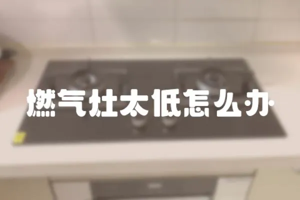 燃?xì)庠钐驮趺崔k