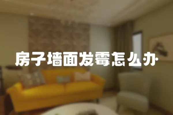 房子墻面發(fā)霉怎么辦