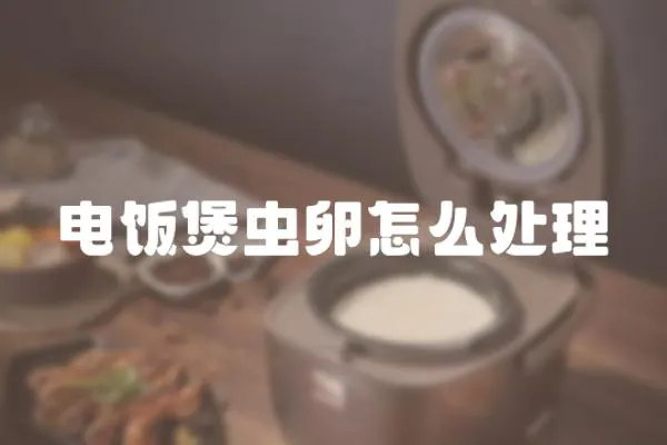 電飯煲蟲卵怎么處理