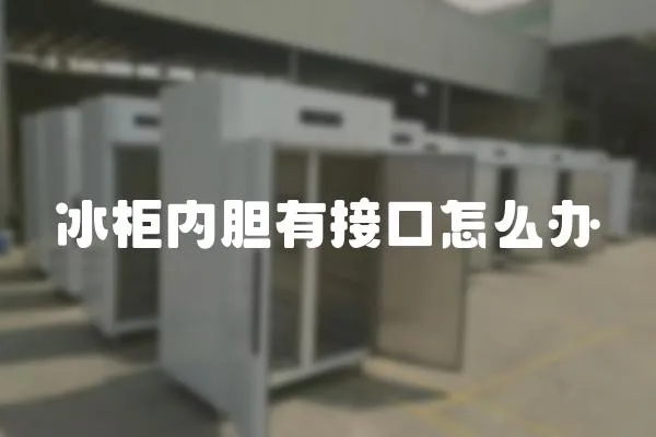 冰柜內膽有接口怎么辦