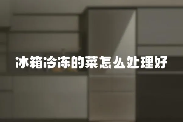 冰箱冷凍的菜怎么處理好