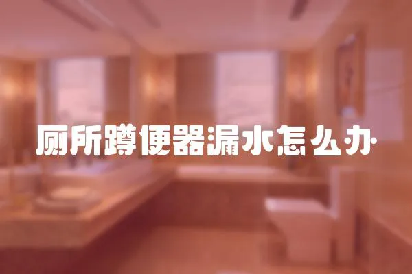 廁所蹲便器漏水怎么辦