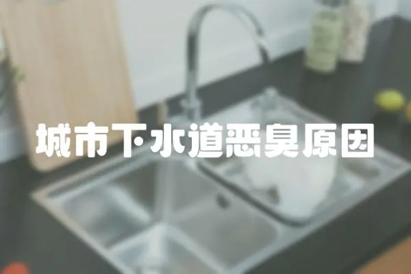 城市下水道惡臭原因