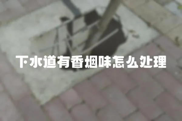 下水道有香煙味怎么處理