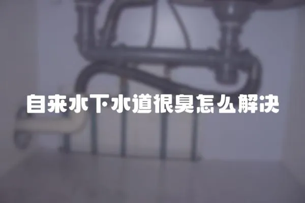自來水下水道很臭怎么解決