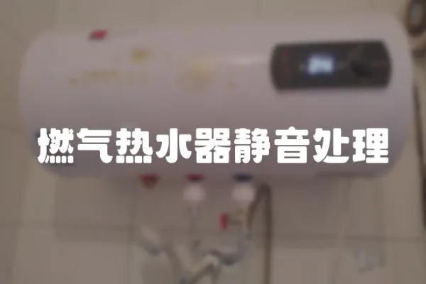 燃?xì)鉄崴黛o音處理