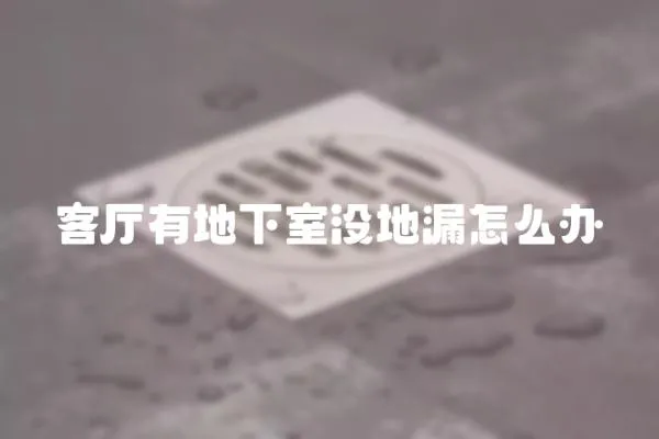 客廳有地下室沒地漏怎么辦