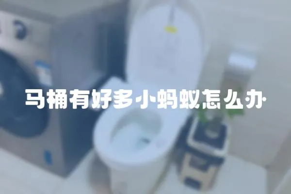 馬桶有好多小螞蟻怎么辦