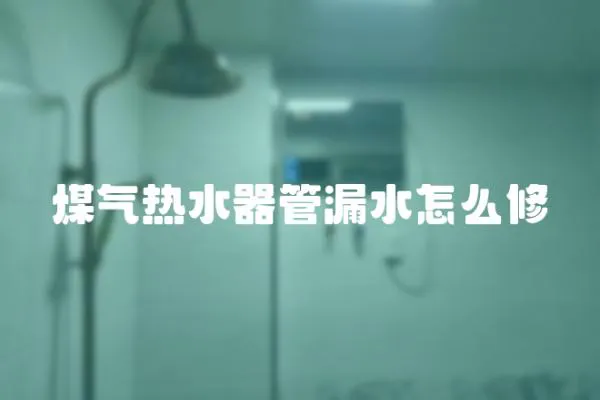 煤氣熱水器管漏水怎么修