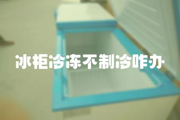 冰柜冷凍不制冷咋辦