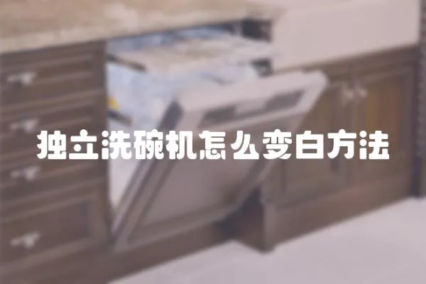 獨立洗碗機怎么變白方法