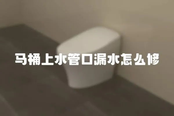 馬桶上水管口漏水怎么修