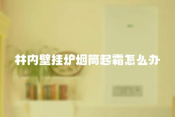 林內壁掛爐煙筒起霜怎么辦