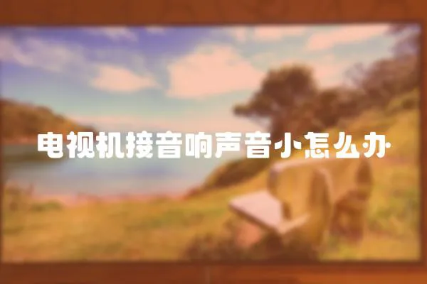 電視機接音響聲音小怎么辦